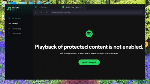 Click image for larger version

Name:	Spotify Error.jpg
Views:	436
Size:	36.9 KB
ID:	426267