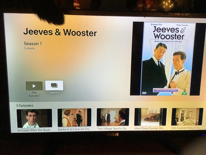 Apple TV screen with poster images for episodes