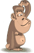Click image for larger version

Name:	Affe ktatzt sich am kopf.gif
Views:	233
Size:	11.3 KB
ID:	304448