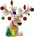 Click image for larger version

Name:	pic05158.gif
Views:	172
Size:	25.4 KB
ID:	304613