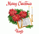Click image for larger version

Name:	christmasHugs42.gif
Views:	237
Size:	36.1 KB
ID:	304643