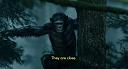 Click image for larger version

Name:	apes_subs.jpg
Views:	1985
Size:	39.2 KB
ID:	312835